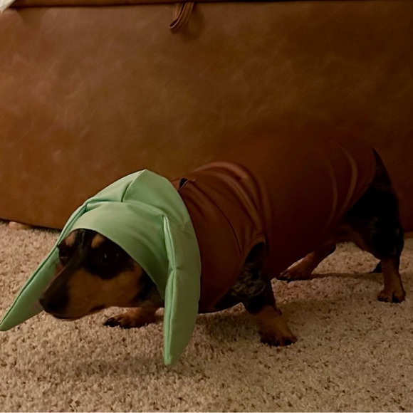 Hi! Follow me & share! I follow & share back! - Picture 3 of 6